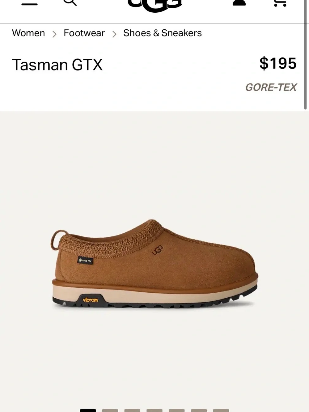UGG Men’s Chestnut Tasman GTX